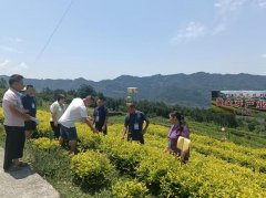 <b>学履职、、学经验”三访三学的形式</b>